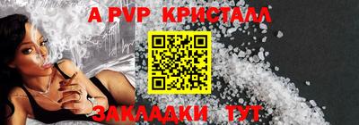 спиды Сланцы