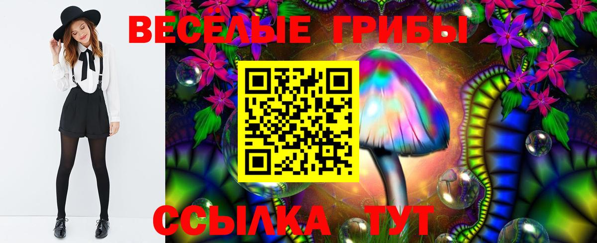 наркотики  Псилоцибиновые грибы Cubensis  Вход с VPN  Нальчик 