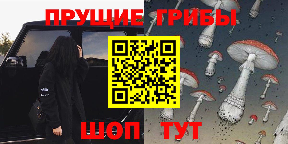 Псилоцибиновые грибы мицелий Нальчик